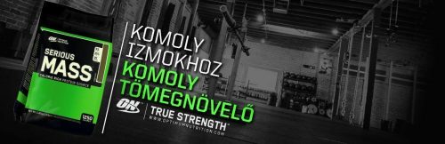 Optimum Nutrition Serious Mass 5455g (12lb) Cookie & Cream