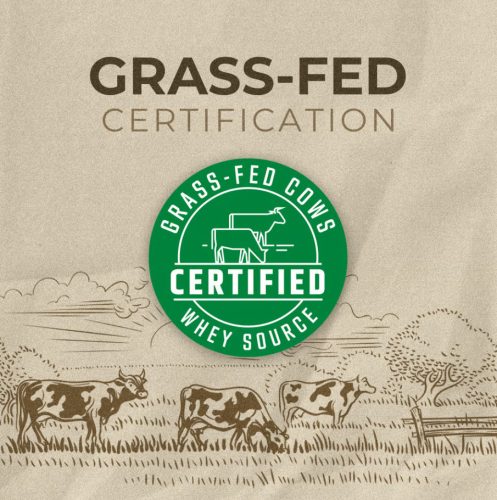 NUTREND 100% Whey Protein 400g Pistachio