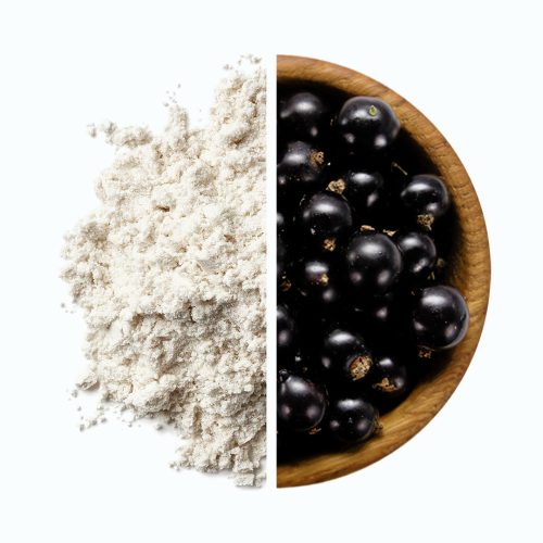 NUTREND N1 510g Blackcurrant